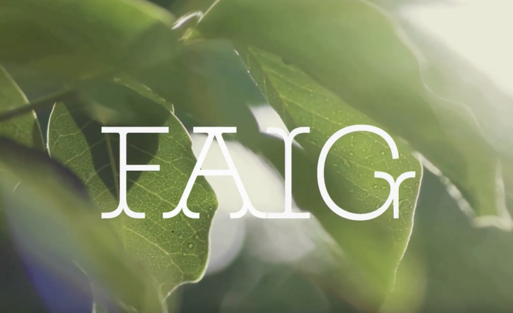 Noves càpsules formatives FAIG: aprofundim en els elements d’un projecte